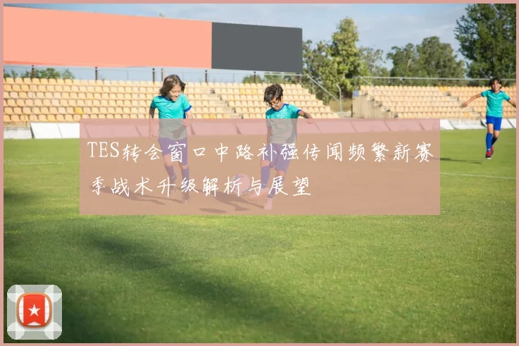 TES转会窗口中路补强传闻频繁新赛季战术升级解析与展望